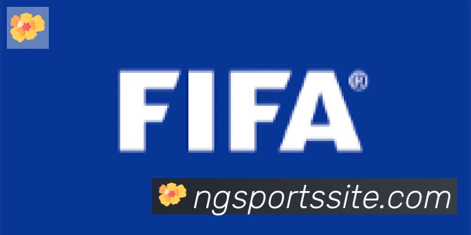 NG体育合作伙伴