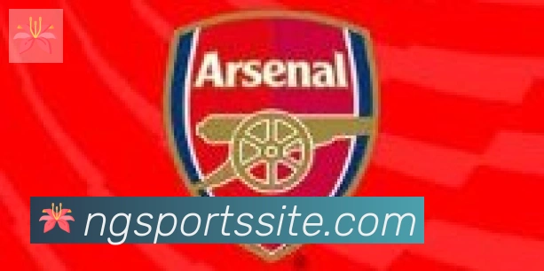 NG体育合作伙伴